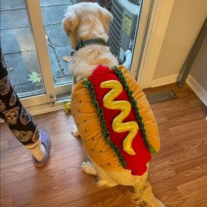 Hot Dog Halloween Costume Large